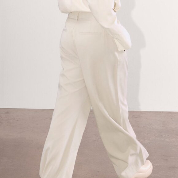 EVERLANE the draper pleated pants in sandstone (12R) - Picture 2 of 16